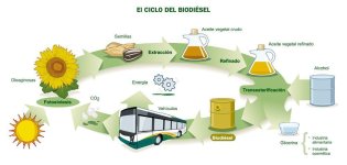 ciclo-biodiesel.jpg